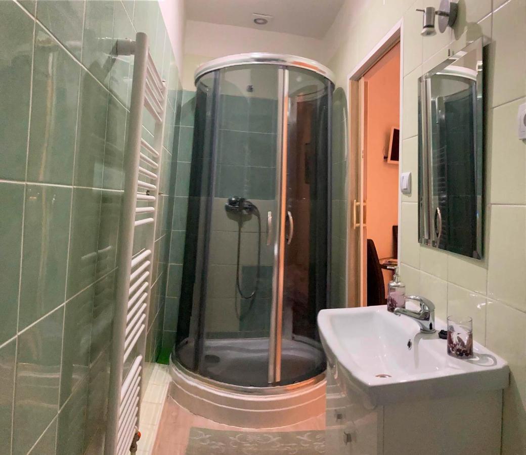 Vila Lesana Nová Lesná Εξωτερικό φωτογραφία