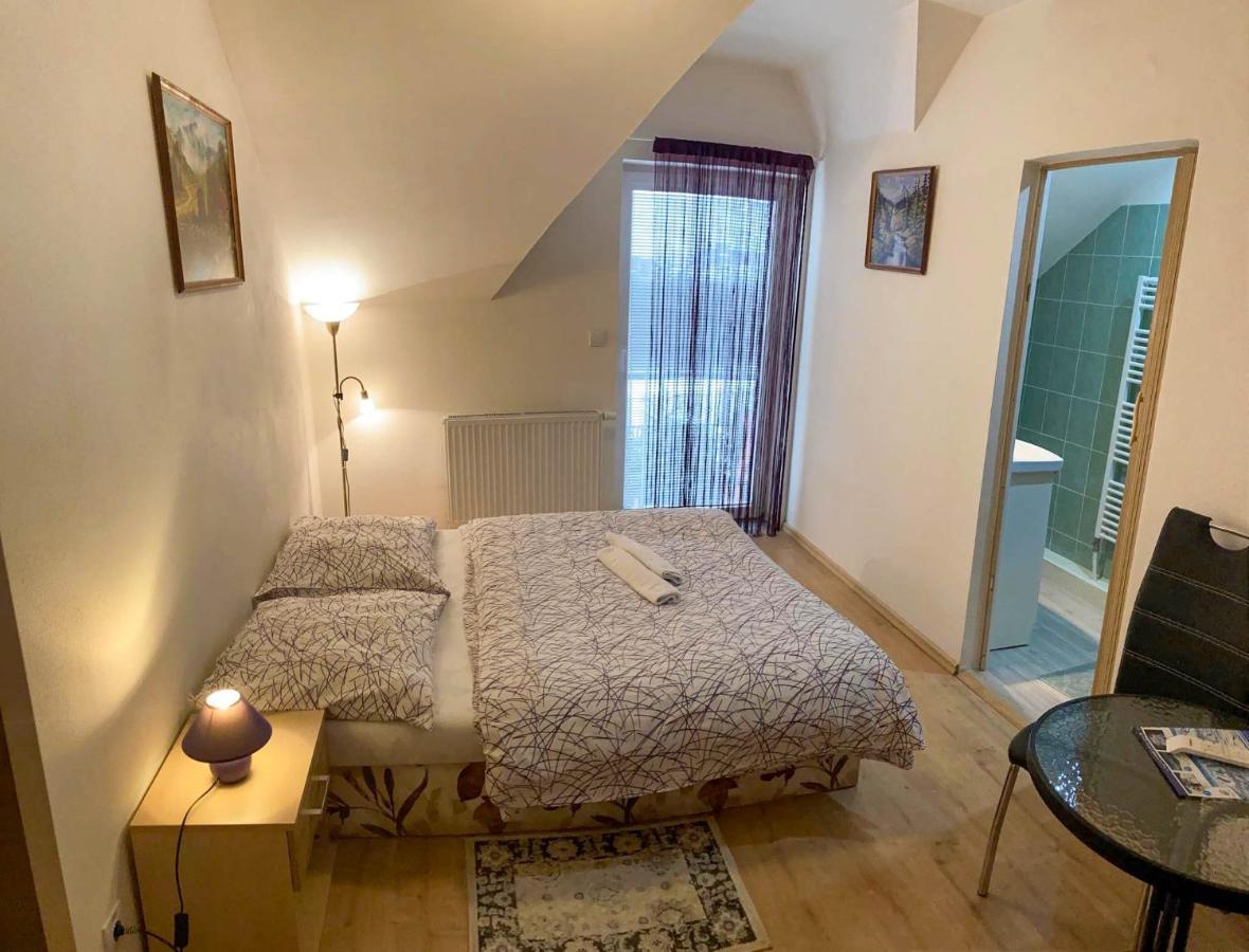 Vila Lesana Nová Lesná Εξωτερικό φωτογραφία