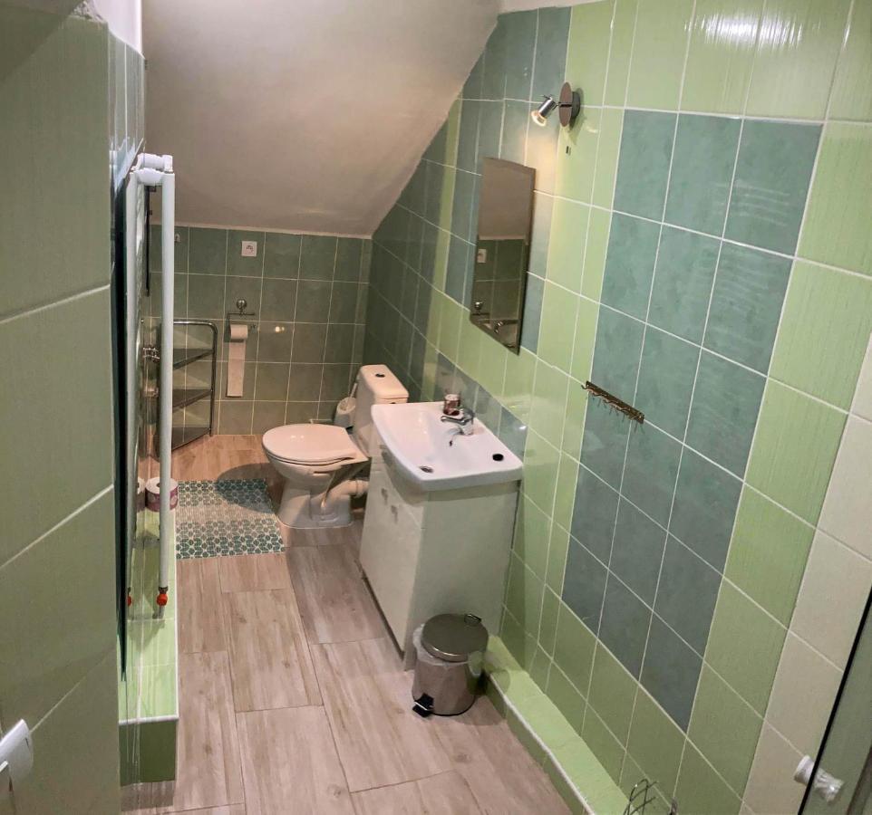 Vila Lesana Nová Lesná Εξωτερικό φωτογραφία